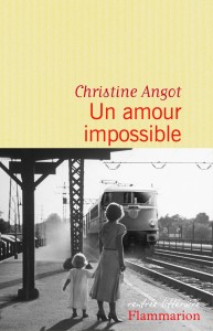 Christine Angot Un amour impossible